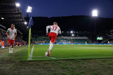 Mariusz Fornalczyk UEFA Euro U-21 2025 maçında Polonya ve Gürcistan milli takımları arasında görüldü (Maciej Rogowski)