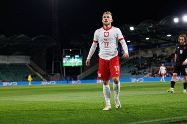 Mariusz Fornalczyk UEFA Euro U-21 2025 maçında Polonya ve Gürcistan milli takımları arasında görüldü (Maciej Rogowski)