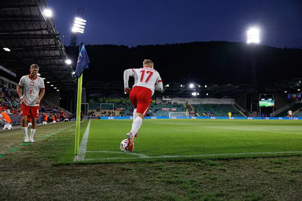 Mariusz Fornalczyk UEFA Euro U-21 2025 maçında Polonya ve Gürcistan milli takımları arasında görüldü (Maciej Rogowski)