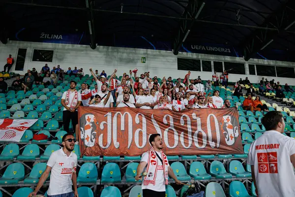 Polonya ve Gürcistan milli takımları arasında oynanan UEFA Euro U-21 2025 maçında Gürcistan taraftarları görülüyor (Maciej Rogowski)