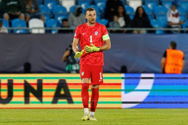 Martin Turk, Almanya ve Slovenya milli takımları arasında oynanan UEFA U-21-2025 maçında görüldü (Maciej Rogowski)