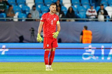 Martin Turk, Almanya ve Slovenya milli takımları arasında oynanan UEFA U-21-2025 maçında görüldü (Maciej Rogowski)