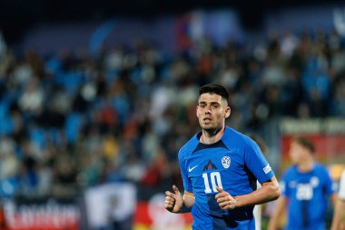 Svit Seslar, Almanya ve Slovenya milli takımları arasında oynanan UEFA U-21-2025 maçında görüldü (Maciej Rogowski)