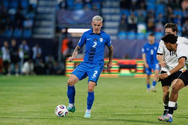 Mitja Ileniç, Almanya ve Slovenya milli takımları arasında oynanan UEFA U-21-2025 maçında görüldü (Maciej Rogowski)