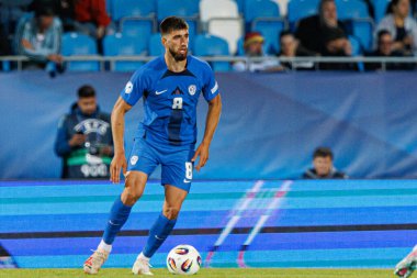 Adrian Zejlkoviç, Almanya ve Slovenya milli takımları arasında oynanan UEFA U-21-2025 maçında görüldü (Maciej Rogowski)