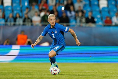 Mitja Ileniç, Almanya ve Slovenya milli takımları arasında oynanan UEFA U-21-2025 maçında görüldü (Maciej Rogowski)