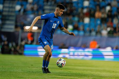 Svit Seslar, Almanya ve Slovenya milli takımları arasında oynanan UEFA U-21-2025 maçında görüldü (Maciej Rogowski)