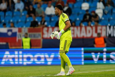 Noah Atubolu, Almanya ve Slovenya milli takımları arasında oynanan UEFA U-21-2025 maçında görüldü (Maciej Rogowski)