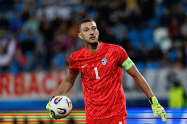 Martin Turk, Almanya ve Slovenya milli takımları arasında oynanan UEFA U-21-2025 maçında görüldü (Maciej Rogowski)