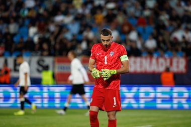 Martin Turk, Almanya ve Slovenya milli takımları arasında oynanan UEFA U-21-2025 maçında görüldü (Maciej Rogowski)
