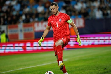 Martin Turk, Almanya ve Slovenya milli takımları arasında oynanan UEFA U-21-2025 maçında görüldü (Maciej Rogowski)