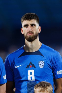 Adrian Zeljkoviç, Almanya ve Slovenya milli takımları arasında oynanan UEFA Euro U-21 2025 maçında görüldü (Maciej Rogowski)