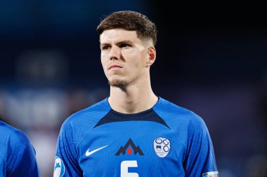 Zan Jevsenak, Almanya ve Slovenya milli takımları arasında oynanan UEFA U-21 2025 maçında görüldü (Maciej Rogowski)