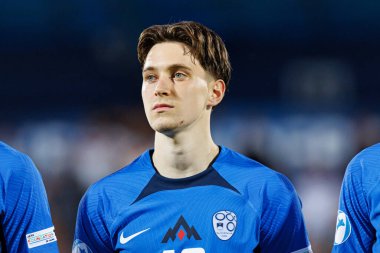 Enrik Ostrc, Almanya ve Slovenya milli takımları arasında oynanan UEFA Euro U-21 2025 maçında görüldü (Maciej Rogowski)