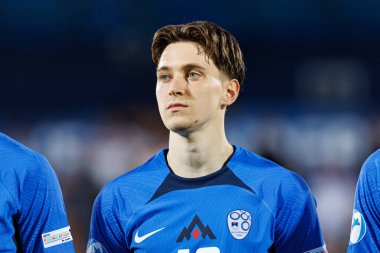 Enrik Ostrc, Almanya ve Slovenya milli takımları arasında oynanan UEFA Euro U-21 2025 maçında görüldü (Maciej Rogowski)