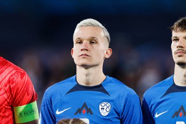 Mitja Ileniç, Almanya ve Slovenya milli takımları arasında oynanan UEFA U-21-2025 maçında görüldü (Maciej Rogowski)