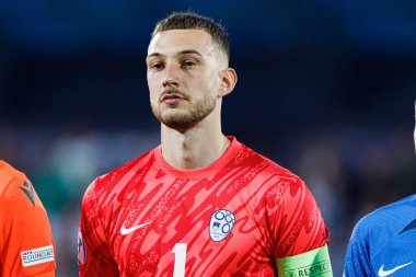 Martin Turk, Almanya ve Slovenya milli takımları arasında oynanan UEFA U-21-2025 maçında görüldü (Maciej Rogowski)