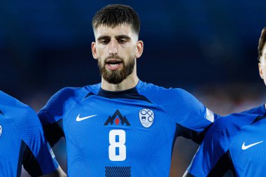 Adrian Zeljkoviç, Almanya ve Slovenya milli takımları arasında oynanan UEFA Euro U-21 2025 maçında görüldü (Maciej Rogowski)