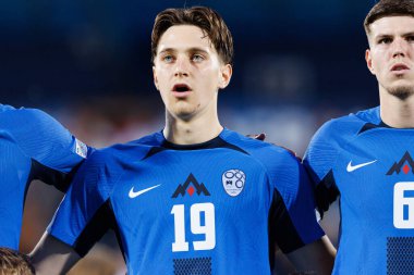 Enrik Ostrc, Almanya ve Slovenya milli takımları arasında oynanan UEFA Euro U-21 2025 maçında görüldü (Maciej Rogowski)