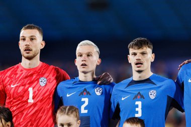 Slovenya 'nın oyuncuları, Almanya ve Slovenya milli takımları arasında oynanan UEFA U-21-2025 maçında görüldü (Maciej Rogowski)