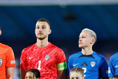 Martin Turk ve Mitja Ileniç, Almanya ve Slovenya milli takımları arasında oynanan UEFA U-21 2025 maçında görüldü (Maciej Rogowski)