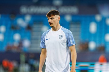 Almanya ve Slovenya milli takımları arasında oynanan UEFA U-21-2025 maçında Srdan Kuzmiç görüldü (Maciej Rogowski)