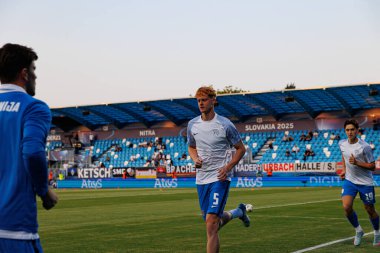 Lovro Goliç, Almanya ve Slovenya milli takımları arasında oynanan UEFA U-21-2025 maçında görüldü (Maciej Rogowski)