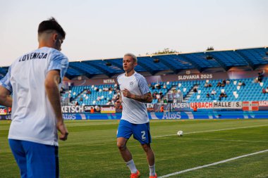 Mitja Ileniç, Almanya ve Slovenya milli takımları arasında oynanan UEFA U-21-2025 maçında görüldü (Maciej Rogowski)