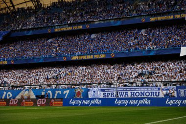 Lech taraftarları Super Puchar Polski maçında Lech Poznan ve Legia Warszawa (Maciej Rogowski)