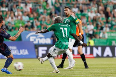 Radomiak Radom ve Pogon Szczecin (Maciej Rogowski) takımları arasındaki PKO BP Ekstraklasa maçı sırasında Capita Capemba)