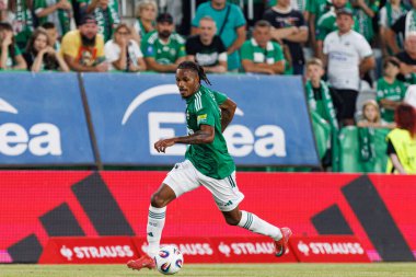 Radomiak Radom ve Pogon Szczecin (Maciej Rogowski) takımları arasında oynanan PKO BP Ekstraklasa maçı sırasında Vasco Lopes)