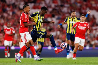 Leandro Santos ve Jhon Duran Eusebio Kupası maçında SL Benfica ve Fenerbahçe SK (Maciej Rogowski)