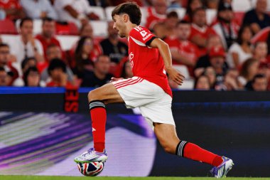 Rafael Obrador, SL Benfica ve Fenerbahçe SK (Maciej Rogowski) arasında oynanan Eusebio Cup maçında görüldü.)