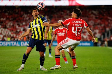 Levent Mercan ve Tiago Gouveia, Eusebio Cup maçında SL Benfica ve Fenerbahçe SK (Maciej Rogowski) arasında görüldü.)