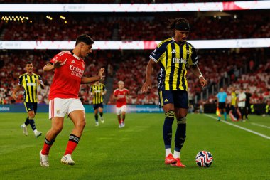 Tiago Gouveia ve Archie Brown Eusebio Kupası maçında SL Benfica ve Fenerbahçe SK (Maciej Rogowski)