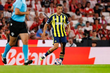 Bartug Elmaz, SL Benfica ile Fenerbahçe SK (Maciej Rogowski) arasında oynanan Eusebio Kupası maçında görüldü.)