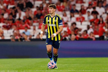 Yusuf Akcicek, SL Benfica ile Fenerbahçe SK (Maciej Rogowski) arasında oynanan Eusebio Kupası maçında görüldü.)