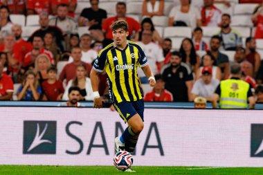 Yusuf Akcicek, SL Benfica ile Fenerbahçe SK (Maciej Rogowski) arasında oynanan Eusebio Kupası maçında görüldü.)