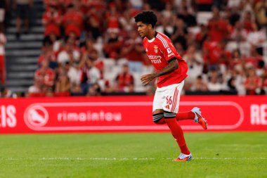 Joshua Wynder, Eusebio Cup maçında SL Benfica ve Fenerbahçe SK (Maciej Rogowski)