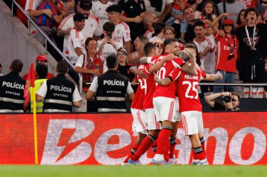 Benfica oyuncuları, SL Benfica ile Fenerbahçe SK (Maciej Rogowski) arasında oynanan Eusebio Cup maçında Henrique Araujo 'dan gol üstüne gol atarken görüldü.)