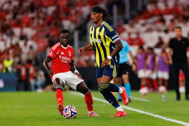 Bruma ve Archie Brown, Eusebio Cup maçında SL Benfica ve Fenerbahçe SK (Maciej Rogowski)