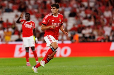 Antonio Silva Eusebio Kupası maçında SL Benfica ve Fenerbahçe SK (Maciej Rogowski)