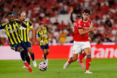 Jhon Duran ve Antonio Silva Eusebio Kupası maçında SL Benfica ve Fenerbahçe SK (Maciej Rogowski)