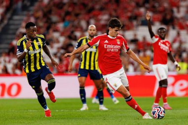 Jhon Duran ve Antonio Silva Eusebio Kupası maçında SL Benfica ve Fenerbahçe SK (Maciej Rogowski)