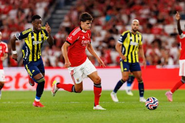 Jhon Duran ve Antonio Silva Eusebio Kupası maçında SL Benfica ve Fenerbahçe SK (Maciej Rogowski)