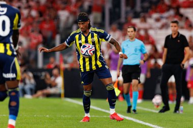 Archie Brown Eusebio Kupası maçında SL Benfica ve Fenerbahçe SK (Maciej Rogowski)