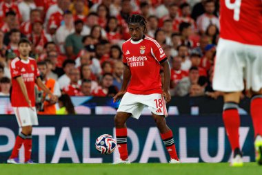 Leandro Barreiro Eusebio Kupası maçında SL Benfica ve Fenerbahçe SK (Maciej Rogowski)