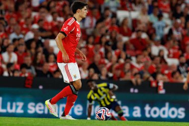 Antonio Silva Eusebio Kupası maçında SL Benfica ve Fenerbahçe SK (Maciej Rogowski)