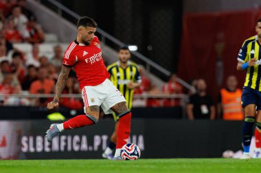 Nicolas Otamendi, SL Benfica ile Fenerbahçe SK (Maciej Rogowski) arasında oynanan Eusebio Cup maçında görüldü.)