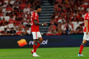 Richard Rios Eusebio Kupası maçında SL Benfica ve Fenerbahçe SK (Maciej Rogowski)